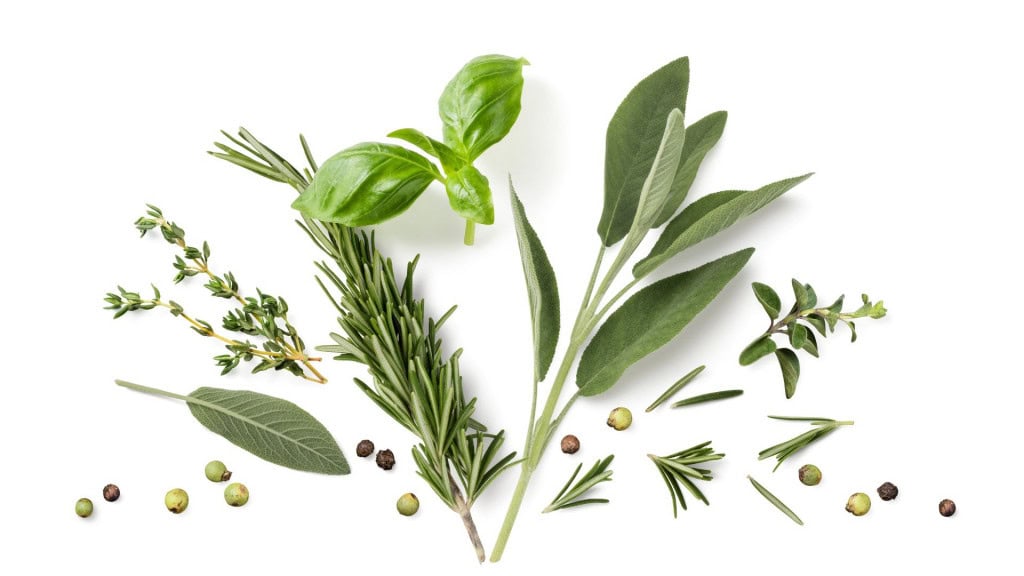A imagem exibe ervas frescas como manjericão, alecrim, sálvia, tomilho e orégano sobre fundo branco. Pimentas verdes e pretas estão espalhadas entre elas. Tudo está disposto de forma organizada e harmoniosa, destacando texturas e formas.