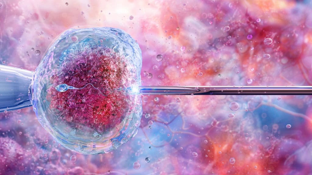 Ilustração 3D do processo de fertilização in vitro, mostrando a fusão de espermatozoides e ovos. Inseminação artificial, espermatozoides fertilizando óvulos femininos. Etapa vital na reprodução humana. Biotecnologia FIV