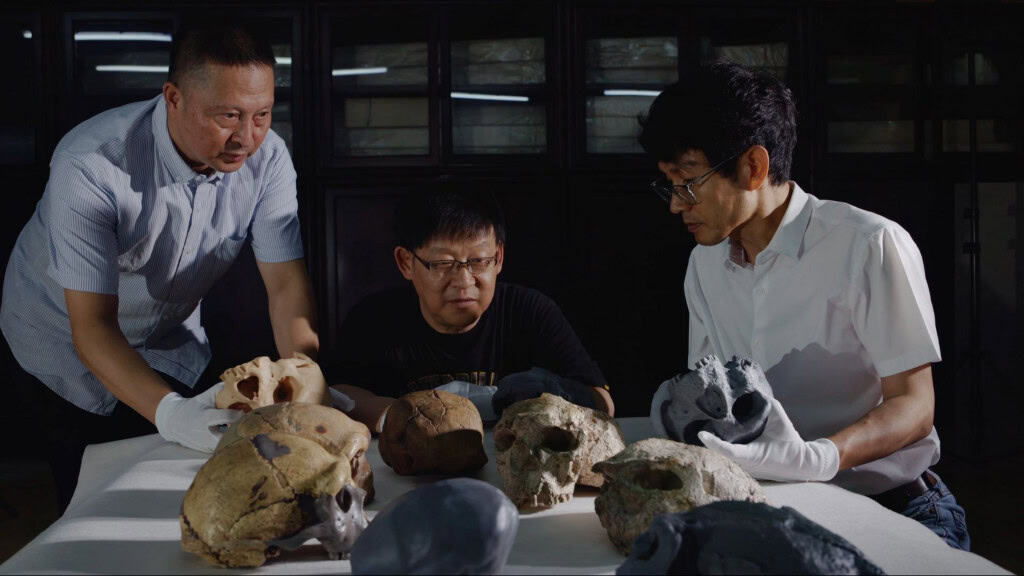 Crânio de um milhão de anos pode mudar história da evolução humana Um fóssil de cerca de um milhão de anos, encontrado na China, pode mudar o que sabemos sobre as origens da nossa espécie. A reanálise do crânio conhecido como Yunxian 2 indica que o Homo sapiens começou a se diferenciar muito antes do que se imaginava – algo em torno de 400 mil anos mais cedo do que apontavam estimativas anteriores. Cientistas manuseando crânios ancestrais