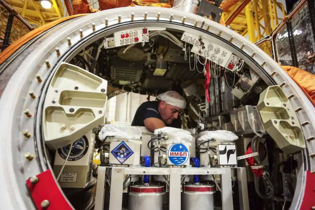 “Arca de Noé” retorna à Terra com mais de 1,50 mil moscas e 75 camundongos Uma missão biológica espacial da Rússia, apelidada de “Arca de Noé“, retornou à Terra em na última sexta-feira (19) após 30 dias em órbita. Pessoa dentro da cápsula