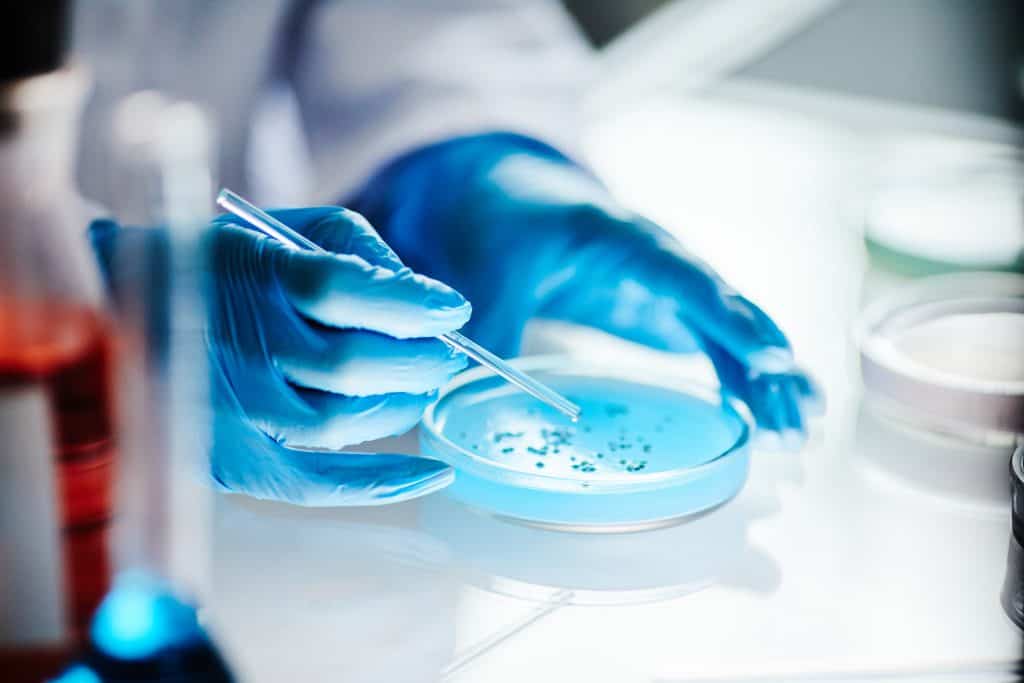 Estudo revela como antibióticos rompem defesa das bactérias Pesquisadores da University College London (UCL) e do Imperial College London conseguiram demonstrar, pela primeira vez, como antibióticos da classe das polimixinas penetram a armadura protetora de bactérias perigosas. bacteria