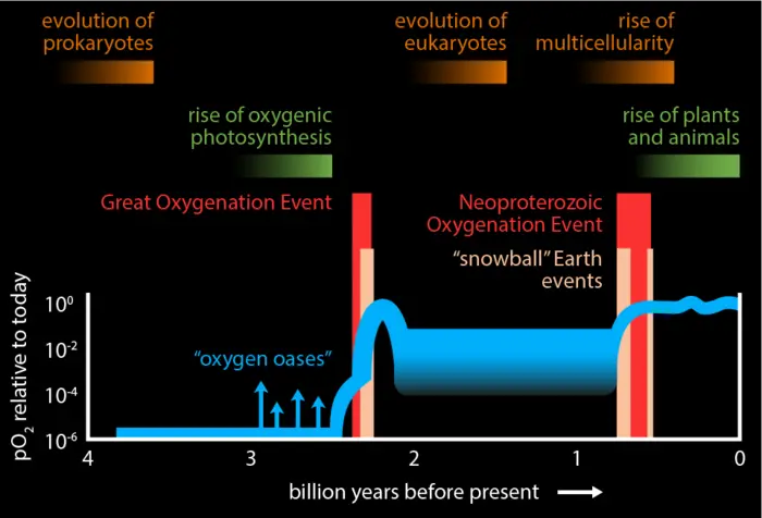 Testemunhas minúsculas dos oceanos revelam novos dados sobre história da Terra Pesquisadores da ETH Zurich conseguiram medir, pela primeira vez, como a quantidade de carbono orgânico dissolvido nos oceanos variou ao longo do tempo geológico. Os resultados, publicados na revista Nature, desafiam explicações tradicionais sobre a origem das eras glaciais e do surgimento de formas de vida complexas, lançando nova luz sobre a evolução da Terra. Gráfico que indica eventos importantes na história da Terra