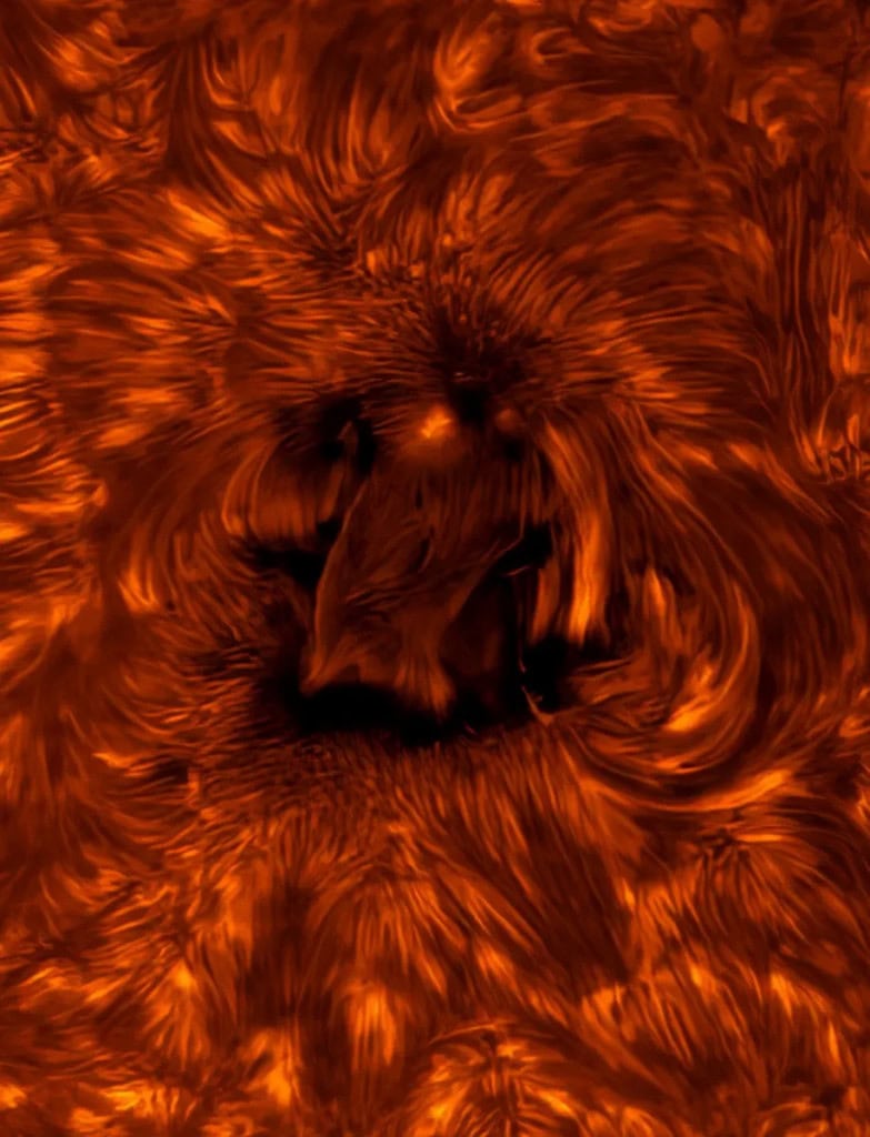 Andrômeda vence concurso “Fotografia Astronômica de 2025” – veja os ganhadores de todas as categorias Centenas de imagens espetaculares encantaram os olhos dos jurados que ajudaram a eleger as melhores fotografias de astronomia de 2025, na 17ª edição do concurso Fotógrafo de Astronomia do Observatório Real de Greenwich, Inglaterra. O grande destaque da premiação foi um registro incrível de Andrômeda, a galáxia espiral mais próxima da Via Láctea. Andrômeda vence concurso “Fotografia Astronômica de 2025” – veja os ganhadores de todas as categorias