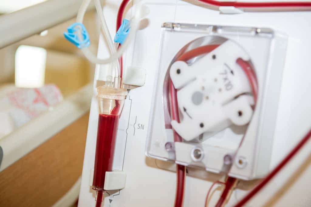Transplantes do futuro? Pesquisadores criam minirrins em laboratório Os rins são órgãos essenciais para nossa sobrevivência. Eles limpam o sangue de impurezas, mas são extremamente complexos de serem reproduzidos à partir de células-tronco. Transplantes do futuro? Pesquisadores criam minirrins em laboratório