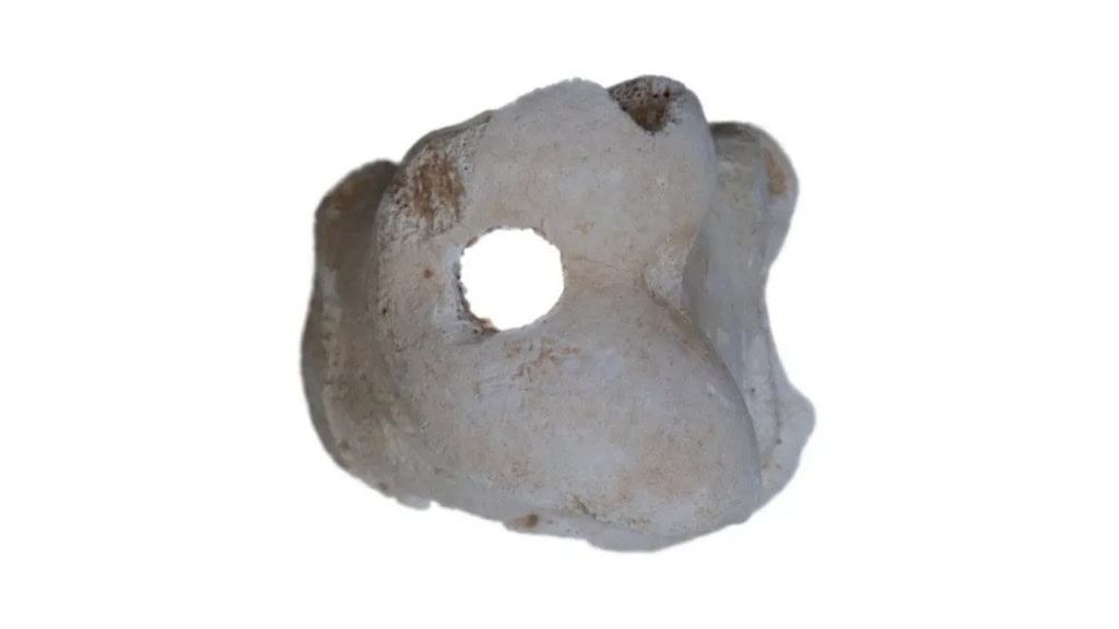 Apito de 3 mil anos é encontrado no Egito; veja! Um apito de 3.300 anos feito com um osso de dedo de vaca foi descoberto em Amarna, no Egito. O artefato foi o primeiro de seu tipo encontrado na região, e, apesar de ter sido localizado por arqueólogos em 2008, o apito só foi analisado recentemente. Os resultados foram publicados em um estudo no International Journal of Osteoarchaeology. Apito de 3 mil anos é encontrado no Egito; veja!