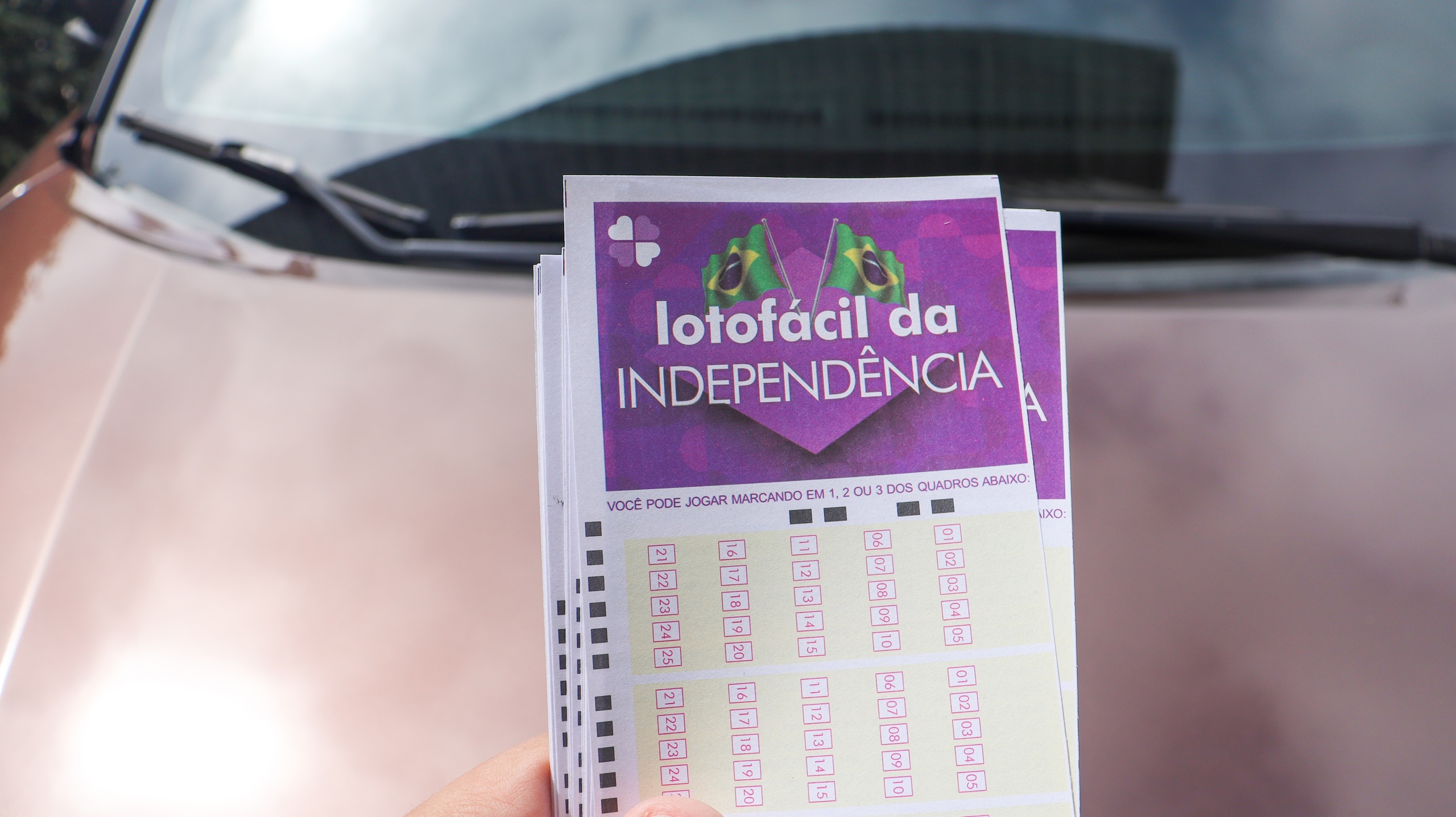 Lotofácil da Independência: saiba até quando você pode apostar