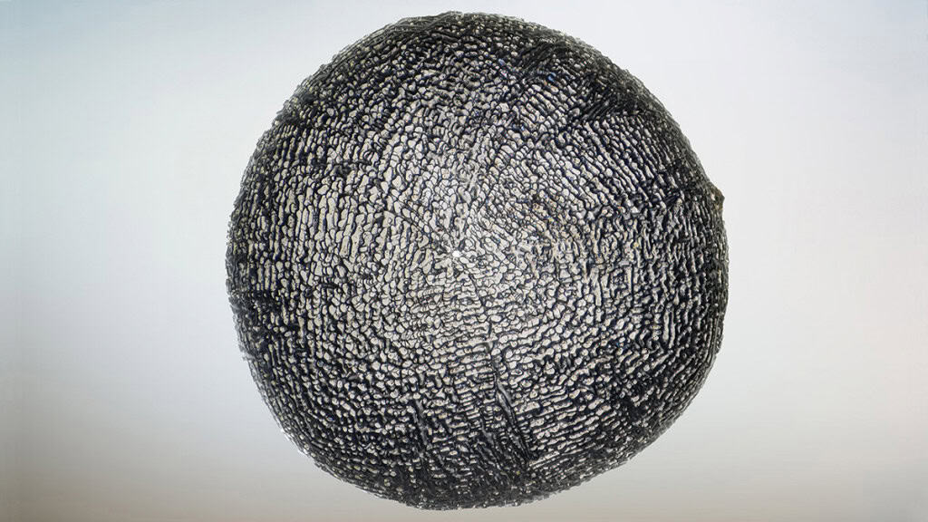 Grãos extraterrestres revelam detalhes da evolução da vida na Terra Micrometeoritos podem ser minúsculos, mas carregam pistas valiosas sobre a história da Terra e a evolução da vida. Diferentemente dos meteoritos, seus “irmãos maiores” que costumam ocupar vitrines em museus, esses grãos cósmicos passam despercebidos, embora, todos os dias, cerca de 50 toneladas de poeira espacial caiam em nosso planeta, quase sempre em partículas invisíveis a olho nu. Grãos extraterrestres revelam detalhes da evolução da vida na Terra