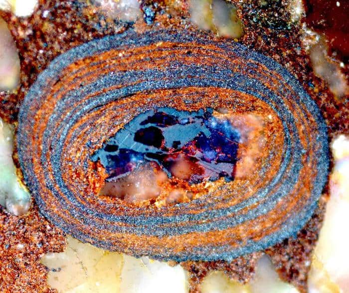 Testemunhas minúsculas dos oceanos revelam novos dados sobre história da Terra Pesquisadores da ETH Zurich conseguiram medir, pela primeira vez, como a quantidade de carbono orgânico dissolvido nos oceanos variou ao longo do tempo geológico. Os resultados, publicados na revista Nature, desafiam explicações tradicionais sobre a origem das eras glaciais e do surgimento de formas de vida complexas, lançando nova luz sobre a evolução da Terra. Corte transversal de uma pedra de óxido de ferro em formato de ovo