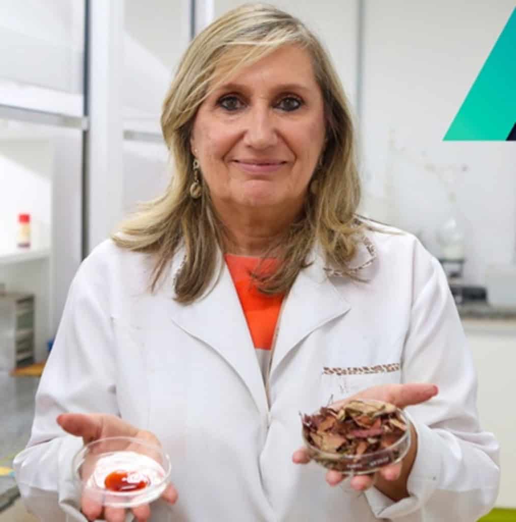 Gel brasileiro é capaz de cicatrizar feridas duas vezes mais rápido Pesquisadores da Unicamp descobriram que uma planta de coloração avermelhada tem propriedades antioxidantes impressionantes. A partir deste conhecimento, desenvolveram um gel que possibilita a cicatrização de feridas de forma muito rápida. Gel brasileiro é capaz de cicatrizar feridas duas vezes mais rápido