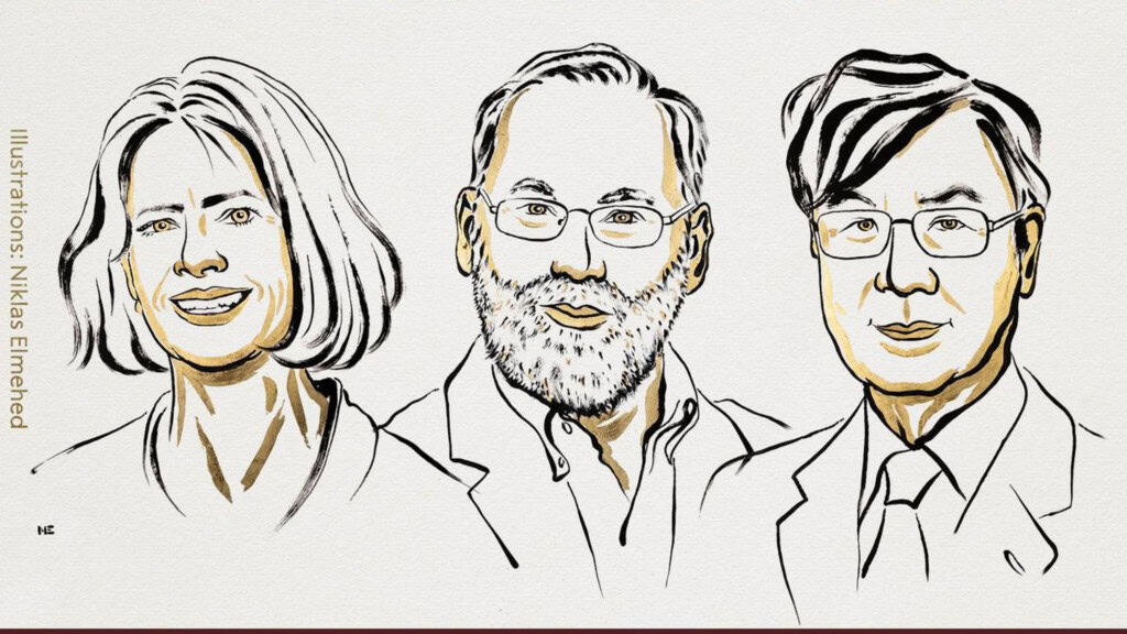 Ilustração de retratos dos três ganhadores do Nobel de Medicina de 2025