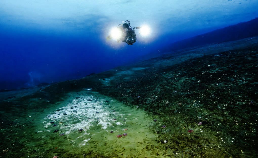 Vazamentos de metano surgem em ritmo “impressionante” no fundo do mar da Antártida Uma mudança fundamental e alarmante está em curso sob as águas geladas da Antártida. Dezenas de vazamentos de metano, um potente gás de efeito estufa, estão surgindo em um ritmo “impressionante” no leito marinho do continente, gerando temores de que isso possa desencadear um ciclo vicioso de aquecimento global. Vazamentos de metano