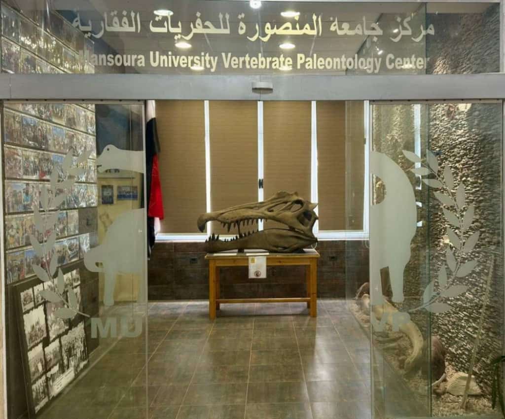 centro paleontologia