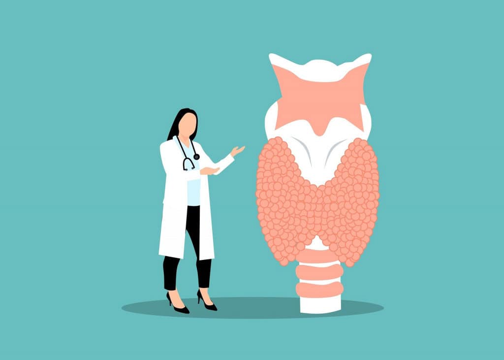 Qual a diferença entre hiper e hipotireoidismo? Conheça causas e sintomas As disfunções da tireoide estão entre os distúrbios hormonais mais comuns que afetam nossa saúde, e entender a diferença entre hipotireoidismo e hipertireoidismo é essencial para reconhecer seus sintomas e buscar o tratamento correto. Ilustração de uma médica endocrinologista e da glândula tireoide