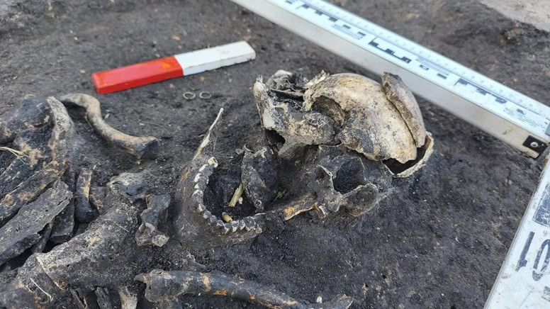 Enterros de mil anos revelam avanço do cristianismo na Europa Uma equipe de arqueólogos localizou parte de um cemitério antigo nas proximidades de ruínas de um assentamento medieval fortificado na vila de Borkowo, na Polônia. No local, foram encontrados diversos esqueletos humanos de cerca de mil anos. Enterros de mil anos revelam avanço do cristianismo na Europa