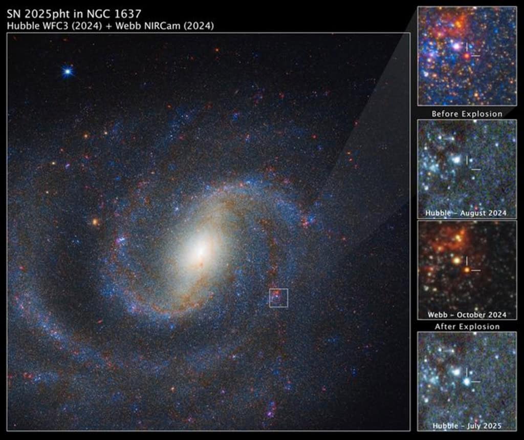 James Webb flagra estrela supergigante vermelha antes dela explodir; veja O Telescópio Espacial James Webb desvendou mais um mistério da galáxia. Por décadas, cientistas buscaram sinais de estrelas supergigantes vermelhas, astros enormes que, em teoria, terminam suas vidas em uma supernova. No entanto, isso raramente parecia acontecer. James Webb flagra estrela supergigante vermelha antes dela explodir; veja