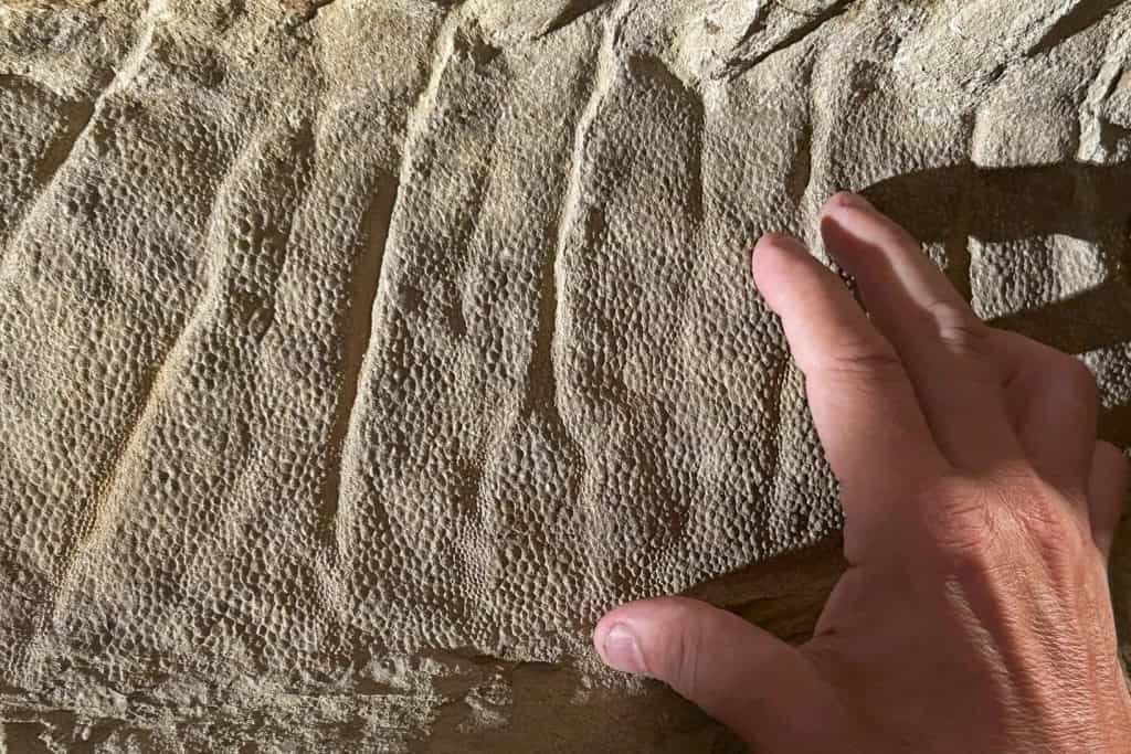 Esses dinossauros foram mumificados naturalmente, revela estudo A busca por fósseis de dinossauros pode ser frustrante quando esses materiais são encontrados incompletos. Isso faz com que, muitas vezes, os cientistas tenham que preencher, mesmo que provisoriamente, as lacunas existentes. Esses dinossauros foram mumificados naturalmente, revela estudo
