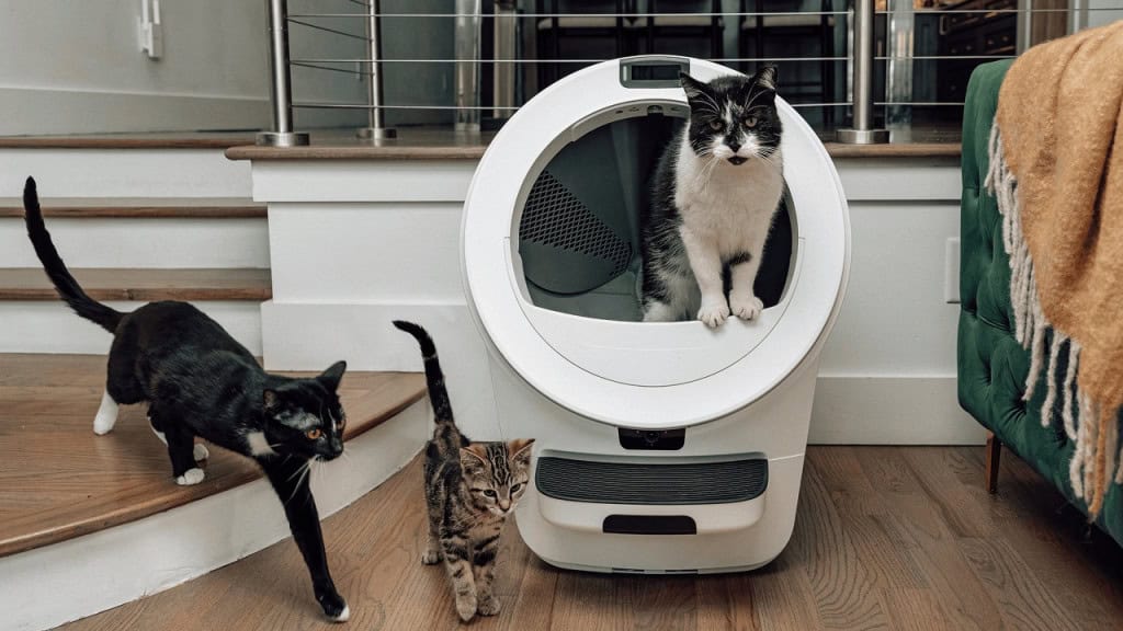 Caixa de areia robótica tem IA e reconhecimento facial para o seu gato A Whisker, fabricante de caixas de areia autolimpantes, anunciou o Litter-Robot 5 Pro, novo modelo que conta com tecnologia de reconhecimento facial para gatos. A empresa – que também fabrica comedouros inteligentes e outros itens para os felinos – ainda lançou um serviço de assinatura que monitora o comportamento dos animais e detecta mudanças antes que se tornem possíveis problemas. Caixa de areia robótica tem IA e reconhecimento facial para o seu gato