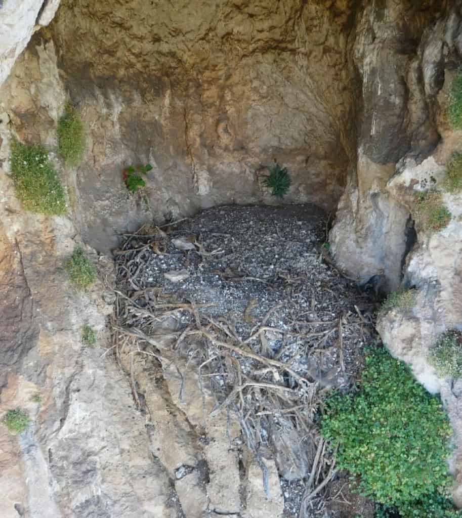 Calçado de 750 anos é encontrado em ninho de abutre na Espanha O que era para ser uma análise de um ninho de abutre encontrado em uma caverna no sul da Espanha se tornou uma descoberta impressionante. No local, pesquisadores identificaram um calçado que data da Idade Média. Calçado de 750 anos é encontrado em ninho de abutre na Espanha