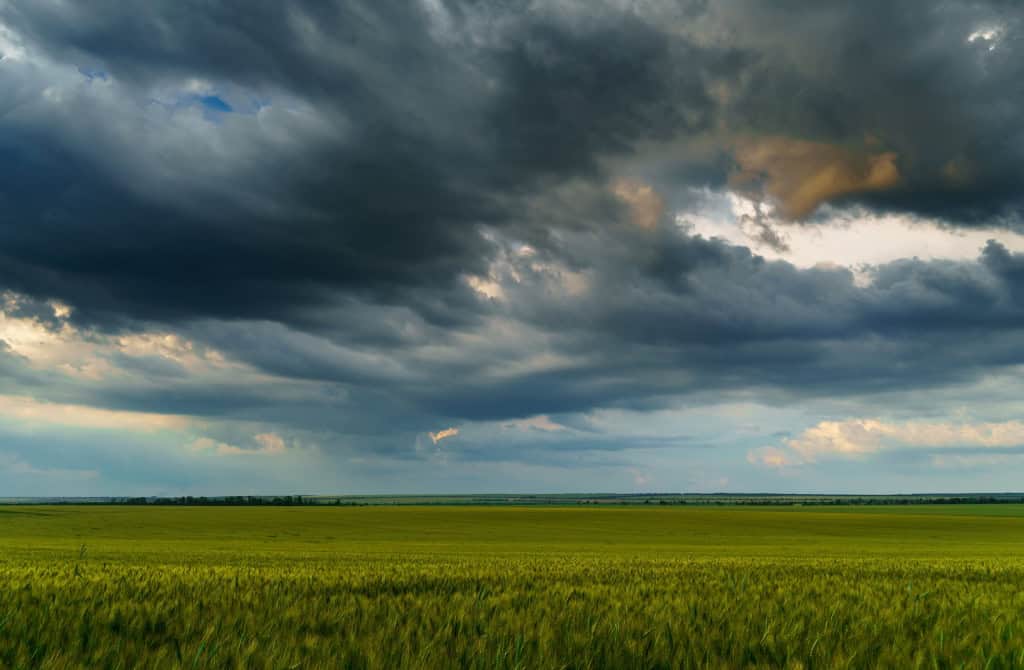 Nuvens de chuva em contraste com uma plantação