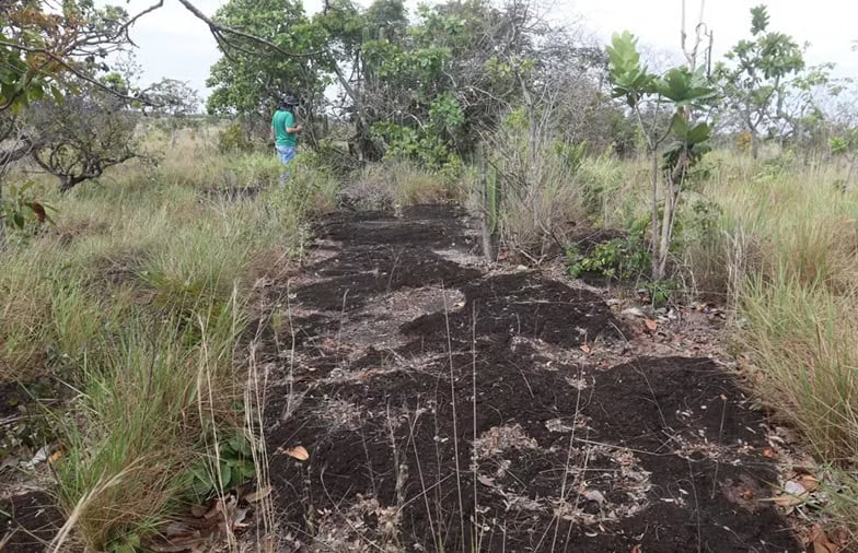 Pegadas de dinossauros são descobertas na Amazônia Após anos de análises, pesquisadores da Universidade Federal de Roraima (UFRR) fizeram uma descoberta inédita na região da Amazônia brasileira. Eles identificaram a presença de pegadas de dinossauros em pedras. Pegadas de dinossauros são descobertas na Amazônia