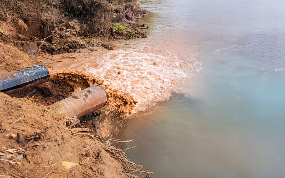 Tecnologia brasileira: filtros sustentáveis podem remover poluentes da água A poluição da água é um dos principais problemas da atualidade. Ela causa impactos na saúde humana e no meio ambiente, incluindo a proliferação de doenças como cólera e diarreia, a morte de peixes e a destruição de ecossistemas aquáticos, o que afeta a biodiversidade e a cadeia alimentar. Tecnologia brasileira: filtros sustentáveis podem remover poluentes da água