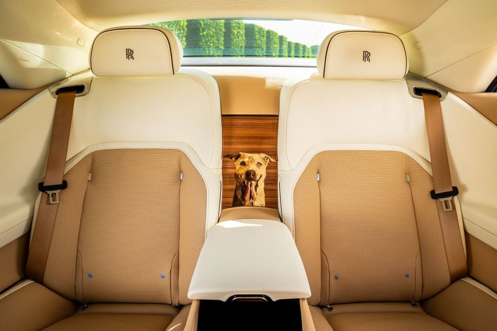 Rolls-Royce cria carro para homenagear cão de clientes; veja fotos Spectre Bailey não é só mais um veículo de luxo da Rolls-Royce. Spectre Bailey é uma declaração de amor. E o homenageado é ele: o cão Bailey, mistura de Labrador e Golden Retriever que compartilha a vida com um casal de clientes de longa data da Rolls-Royce baseado nos Estados Unidos. retrato bailey
