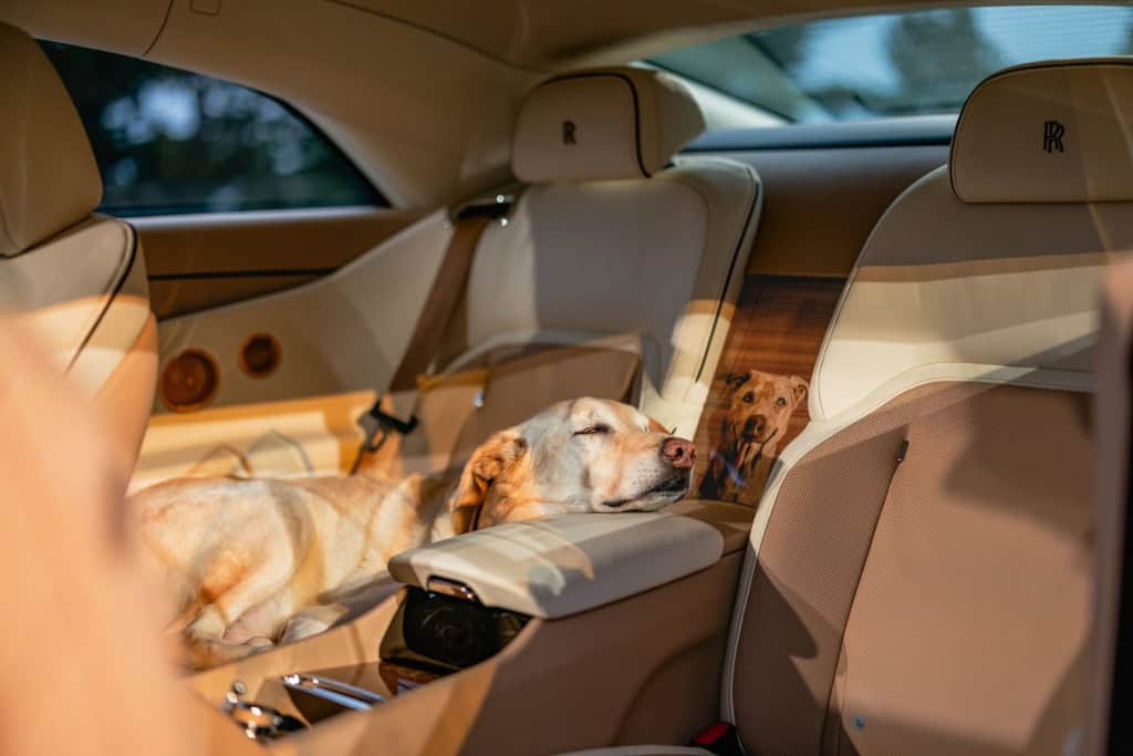 Rolls-Royce cria carro para homenagear cão de clientes; veja fotos Spectre Bailey não é só mais um veículo de luxo da Rolls-Royce. Spectre Bailey é uma declaração de amor. E o homenageado é ele: o cão Bailey, mistura de Labrador e Golden Retriever que compartilha a vida com um casal de clientes de longa data da Rolls-Royce baseado nos Estados Unidos. spectre bailey