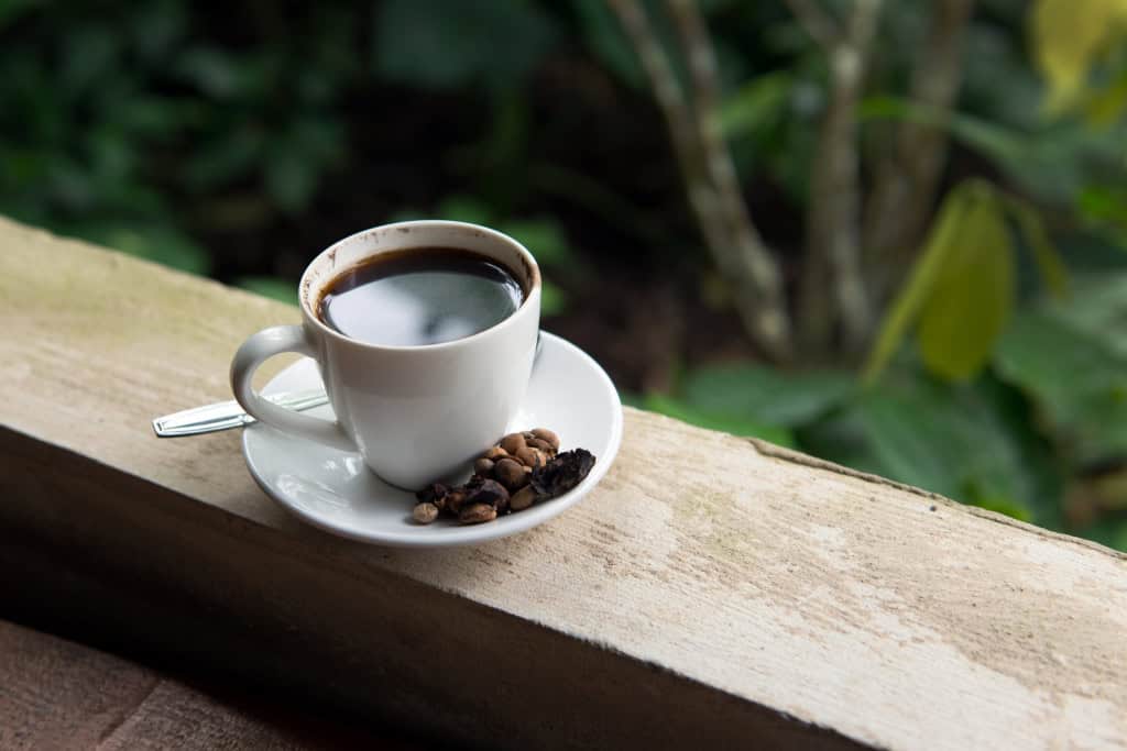 Uma xícara de Kopi Luwak, o café mais caro do mundo, originário de Bali, Indonésia