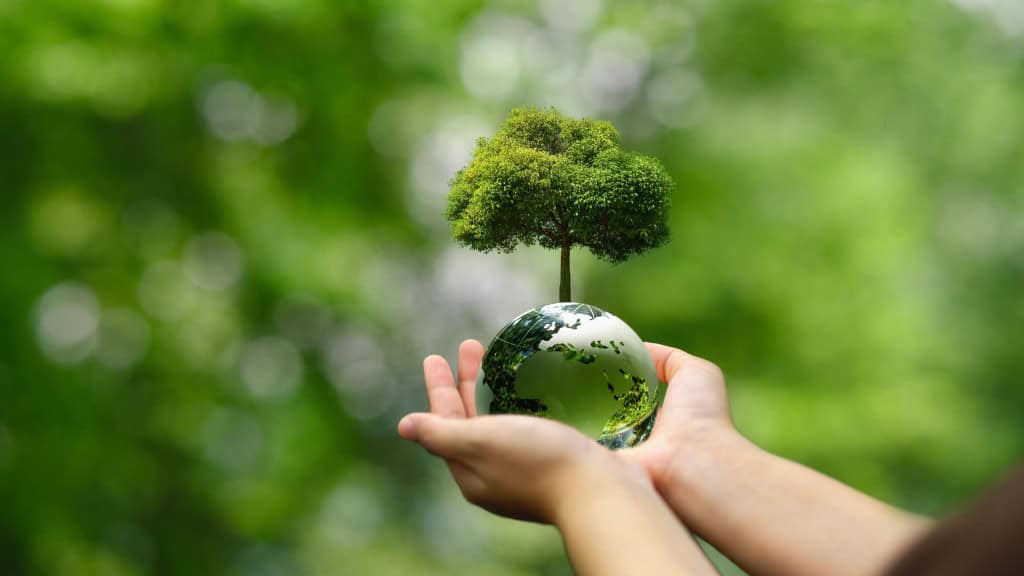 Pessoa segurando, com as duas mãos, miniatura do planeta Terra da qual sai uma pequena árvore