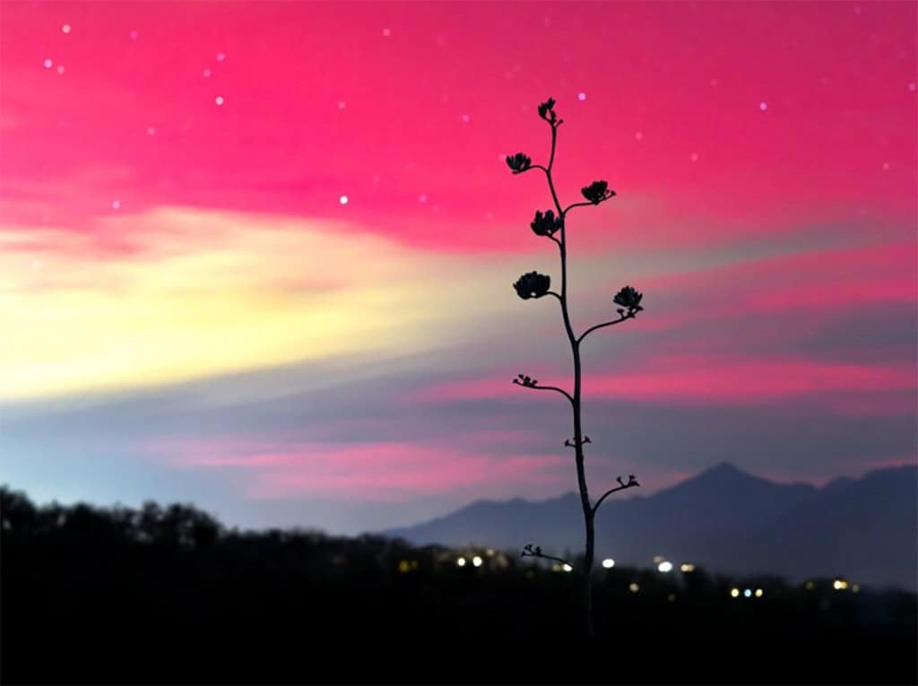 Jato de plasma solar canibal provoca auroras em toda a América do Norte