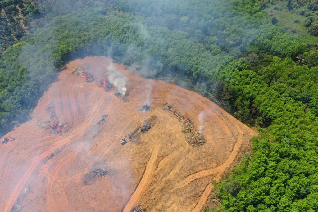 Amazônia pode perder até 38% da floresta até o fim do século A Floresta Amazônica pode perder mais de um terço de sua cobertura até o fim deste século, segundo um novo estudo conduzido por pesquisadores da Universidade Ludwig Maximilian de Munique (LMU), na Alemanha. A análise indica que a combinação entre mudanças no uso da terra e aquecimento global tende a intensificar a degradação do bioma, com impactos profundos sobre o clima e a biodiversidade. Secas históricas expõem risco de colapso na Amazônia
