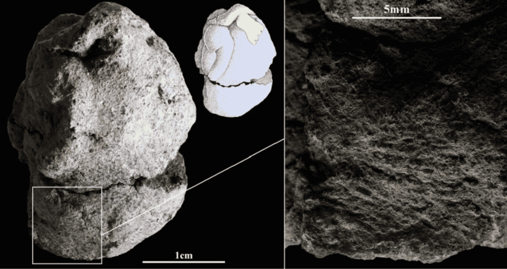 Obra de 12.000 anos revela espiritualidade entre humanos e animais Uma aldeia pré-histórica com vista para o Mar da Galileia escondeu por anos uma estatueta de argila diferente de qualquer outra já encontrada. O artefato de 12.000 anos retrata uma mulher e um ganso no que parece ser uma cena mitológica ou ritualística. E oferece uma rara visão do mundo espiritual dos primeiros povos sedentários do sudoeste da Ásia no final do período Epipaleolítico. estatueta sitio
