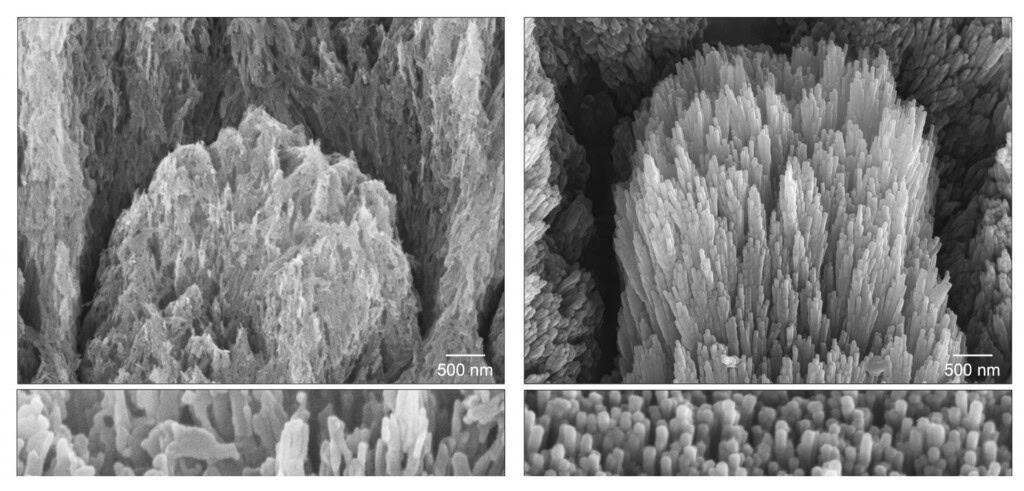 Imagens de microscopia eletrônica de um dente com esmalte desmineralizado mostrando cristais de apatita erodidos (esquerda) e um dente desmineralizado semelhante após um tratamento com gel de duas semanas, mostrando cristais de esmalte regenerados epitaxialmente (direita).