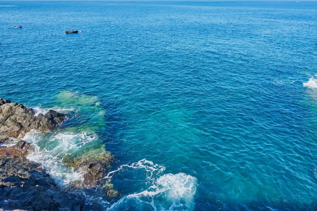 El Niño influencia vida marinha no Atlântico e altera padrões de pesca, aponta estudo Uma pesquisa publicada quarta-feira (18) na revista Nature Reviews Earth & Environment revela que o El Niño–Oscilação Sul (ENOS) tem impactos significativos sobre o ecossistema marinho do Oceano Atlântico, com efeitos que se estendem à dinâmica da pesca em regiões da América do Sul e da África. Pesquisa inédita reconstrói a história evolutiva dos peixes de ilhas oceânicas do Atlântico