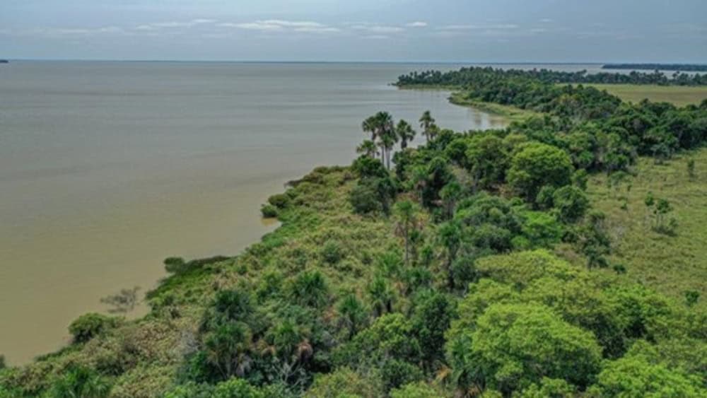 Ocupação da Amazônia por povos antigos revela lições de sustentabilidade No sudoeste da Amazônia, os grandes lagos Rogaguado e Ginebra, revelam evidências da ocupação humana. Sob as pastagens e águas rasas encontram-se sinais de terraplenagens, campos elevados e sistemas de canais complexos. Ocupação da Amazônia por povos antigos revela lições de sustentabilidade