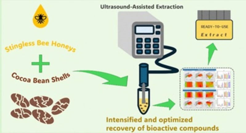 Pesquisadores brasileiros criam mel com sabor de chocolate