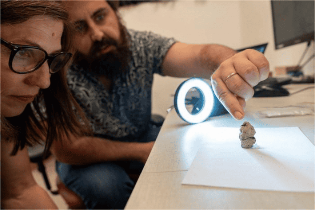 Obra de 12.000 anos revela espiritualidade entre humanos e animais Uma aldeia pré-histórica com vista para o Mar da Galileia escondeu por anos uma estatueta de argila diferente de qualquer outra já encontrada. O artefato de 12.000 anos retrata uma mulher e um ganso no que parece ser uma cena mitológica ou ritualística. E oferece uma rara visão do mundo espiritual dos primeiros povos sedentários do sudoeste da Ásia no final do período Epipaleolítico. obra ganso