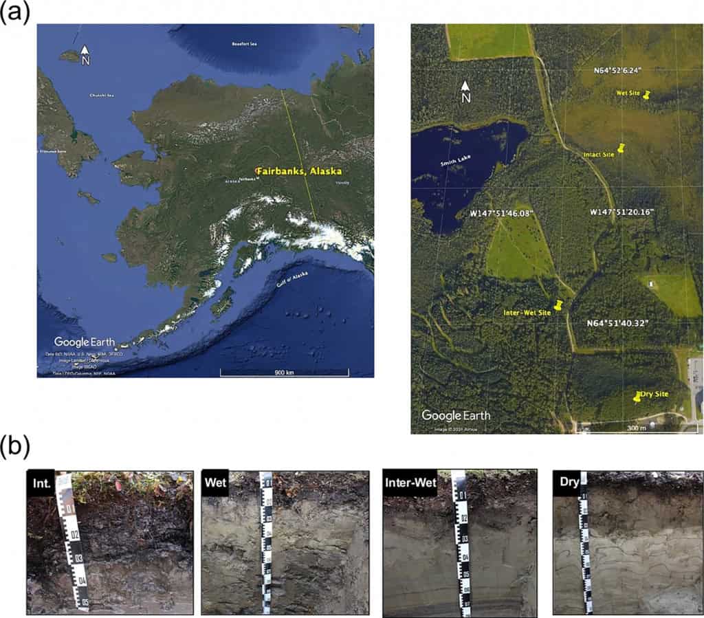 Esperança no Ártico: “bomba de metano” pode não ser tão grave quanto se pensava