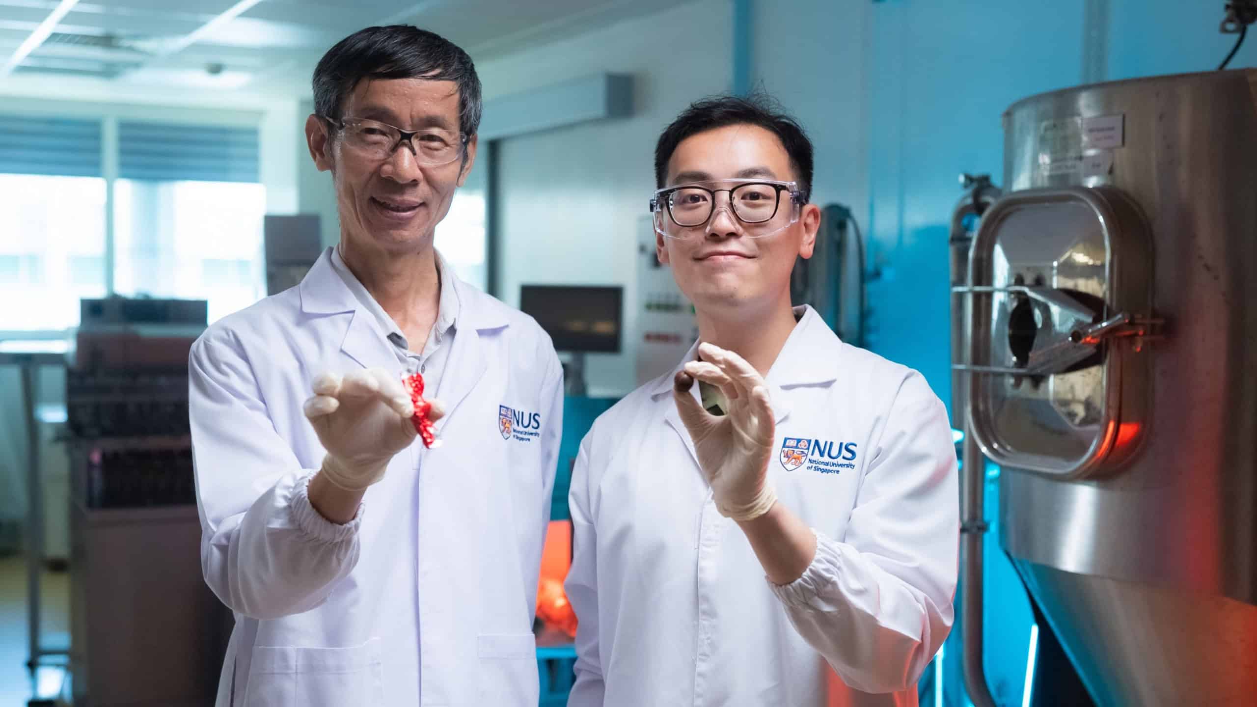 Novo chocolate? Cacau alternativo atinge nível próximo de sabor