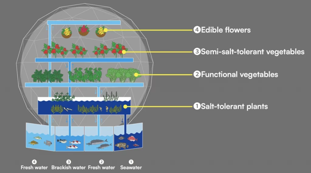 Quatro zonas de água – mar, salobra e duas de água doce – sustentam espécies aquáticas adaptadas a cada ambiente.