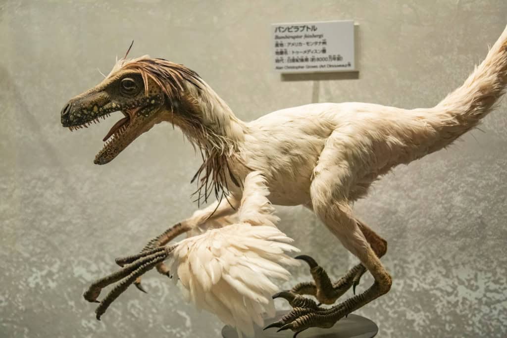 Imagem mostra uma espécie de dinossauro em uma maquete em museu no Japão