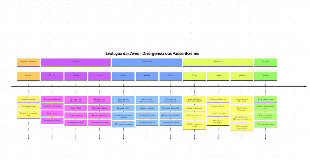 Diagrama mostrando a evolução de aves e pássaros