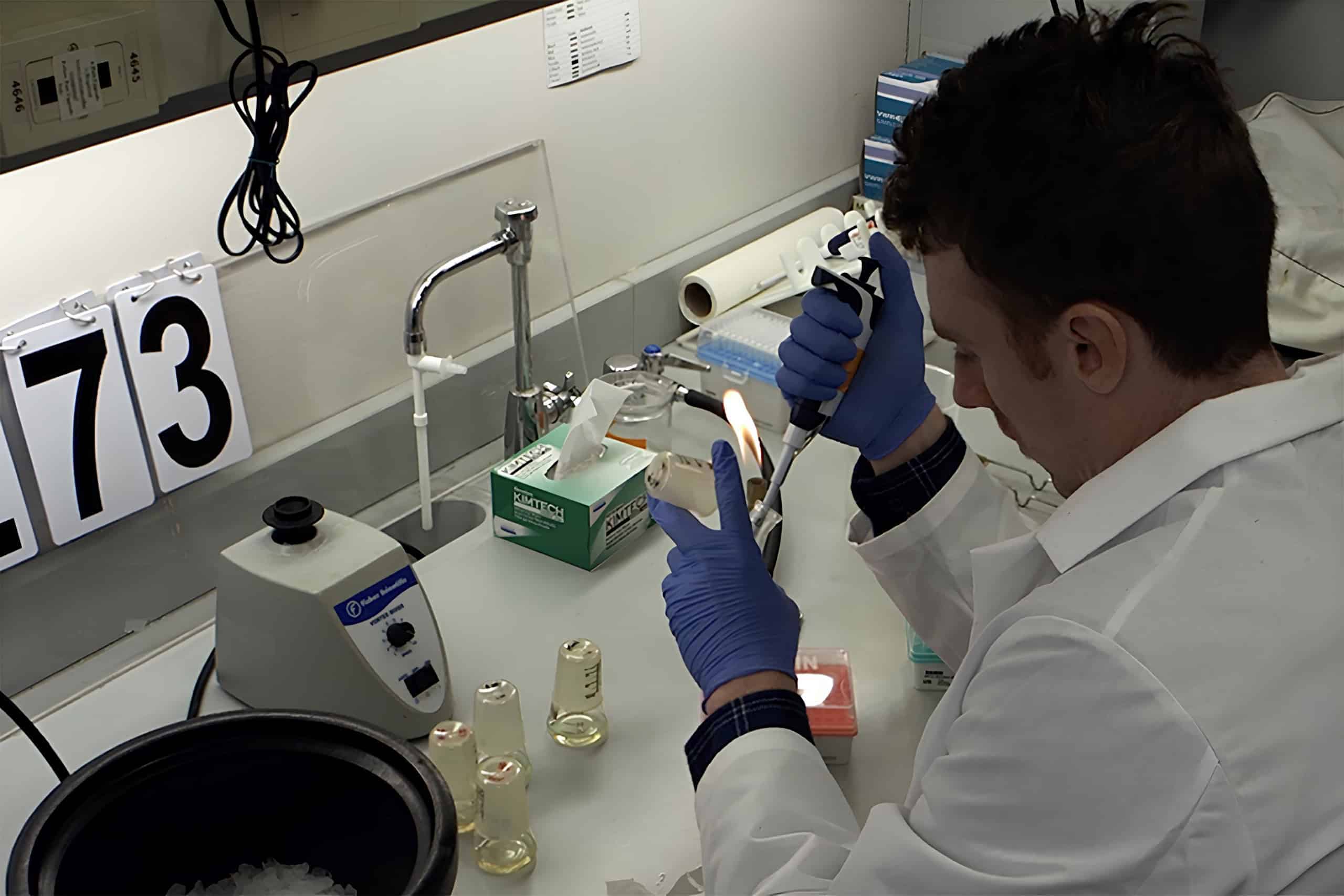 Conheça o experimento científico que já dura 80 mil gerações