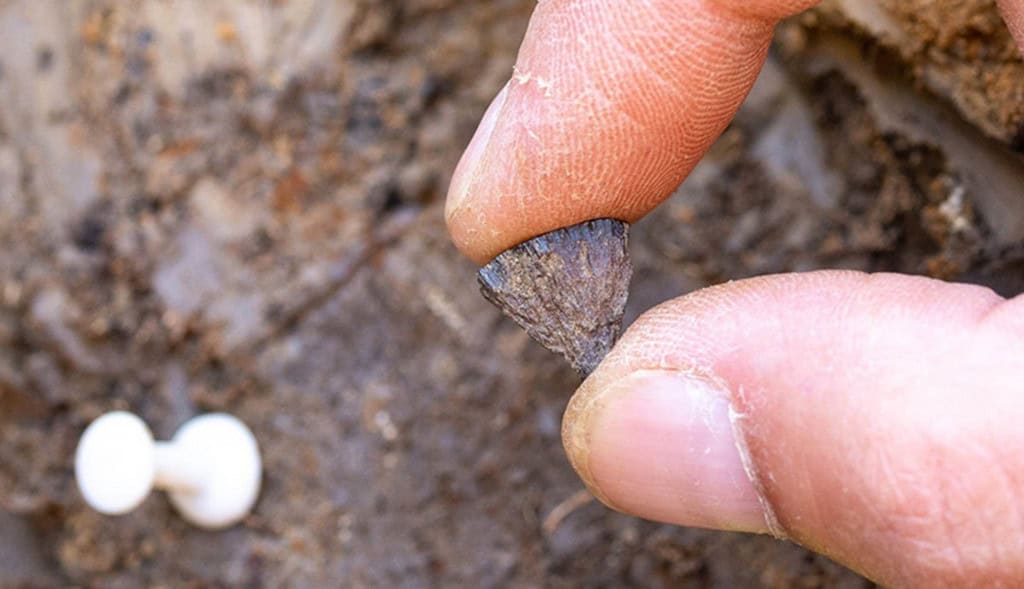 Descoberta revela que humanos dominaram fogo antes do que pensávamos Um estudo publicado na revista Nature nesta quarta-feira (10) descreveu a evidência mais antiga de fogo criado por humanos propositalmente. A descoberta data de 400 mil anos atrás, quando nossa espécie sequer existia. Descoberta revela que humanos dominaram fogo antes do que pensávamos