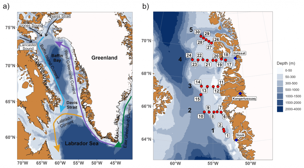 Chumbo persistente e acidificação expõem impacto humano no Oceano Ártico