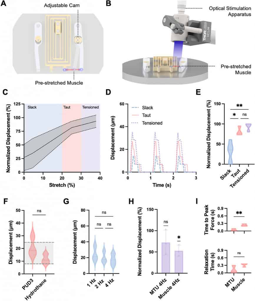 Robôs biohíbridos do MIT ganham modularidade com tendões de hidrogel, abrindo novas aplicações tecnológicas.