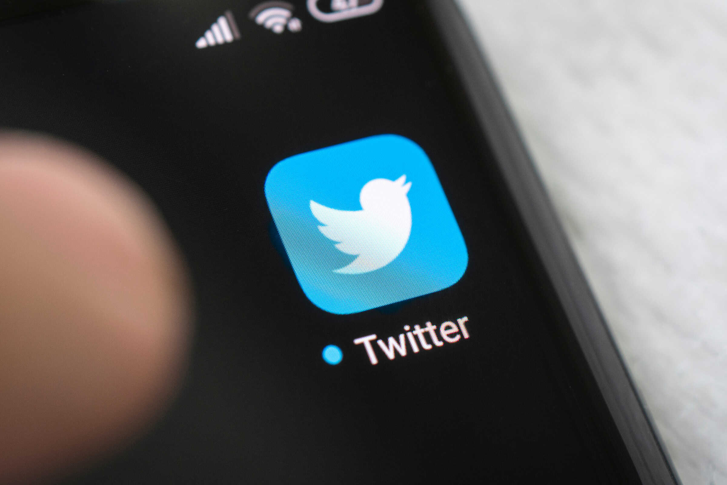 Twitter vai voltar? Startup disputa marca com Elon Musk