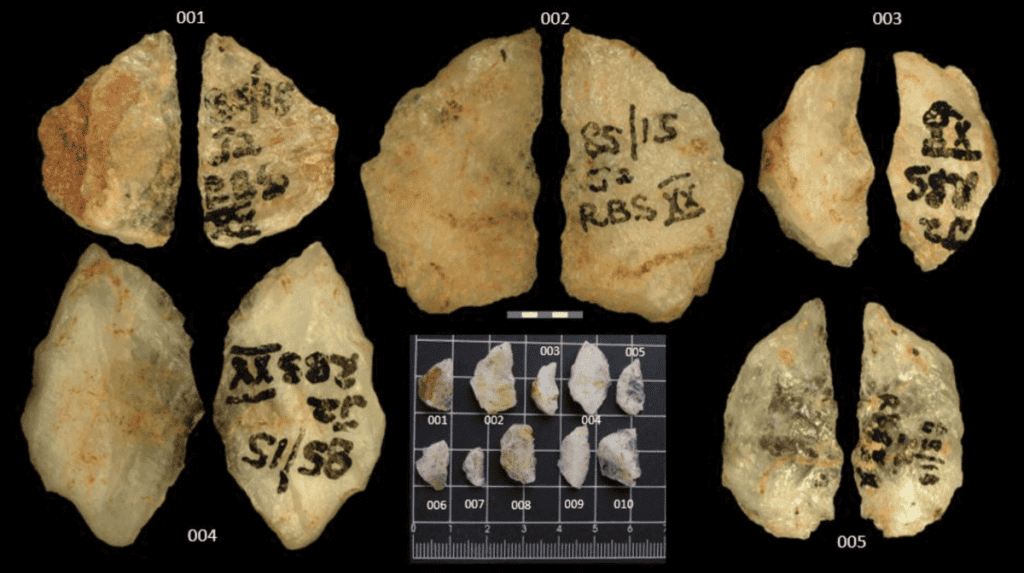 Detalhes das flechas envenenadas