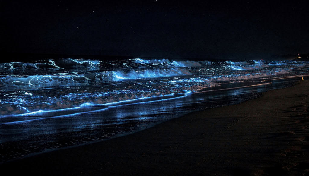 O fenômeno natural que transforma as ondas do mar em um show de luzes azuis brilhantes