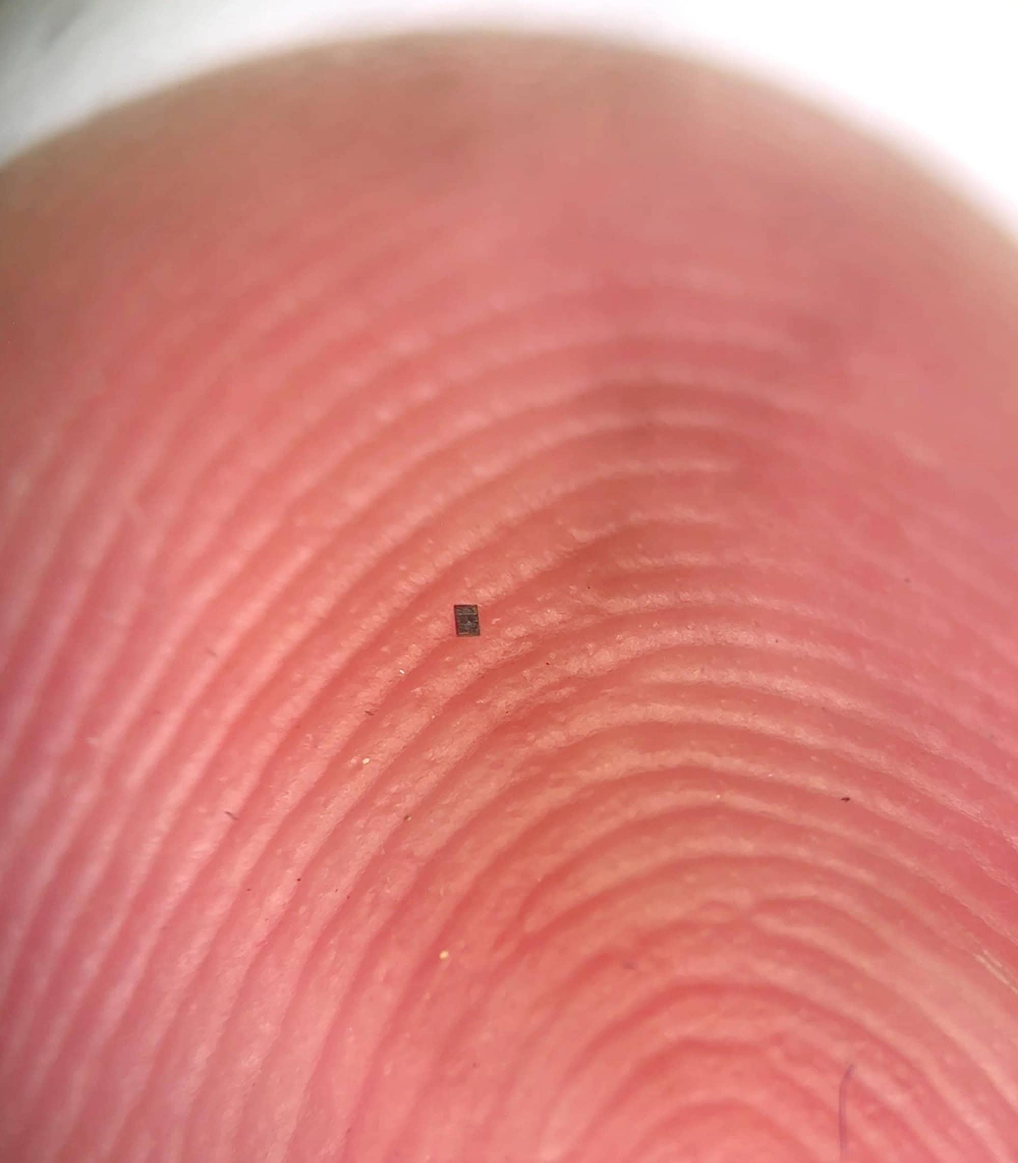 Menor que um grão de sal: conheça o menor robô autônomo do mundo